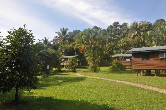 Villa Daintree Rainforest Bungalows à Cow Bay Extérieur photo
